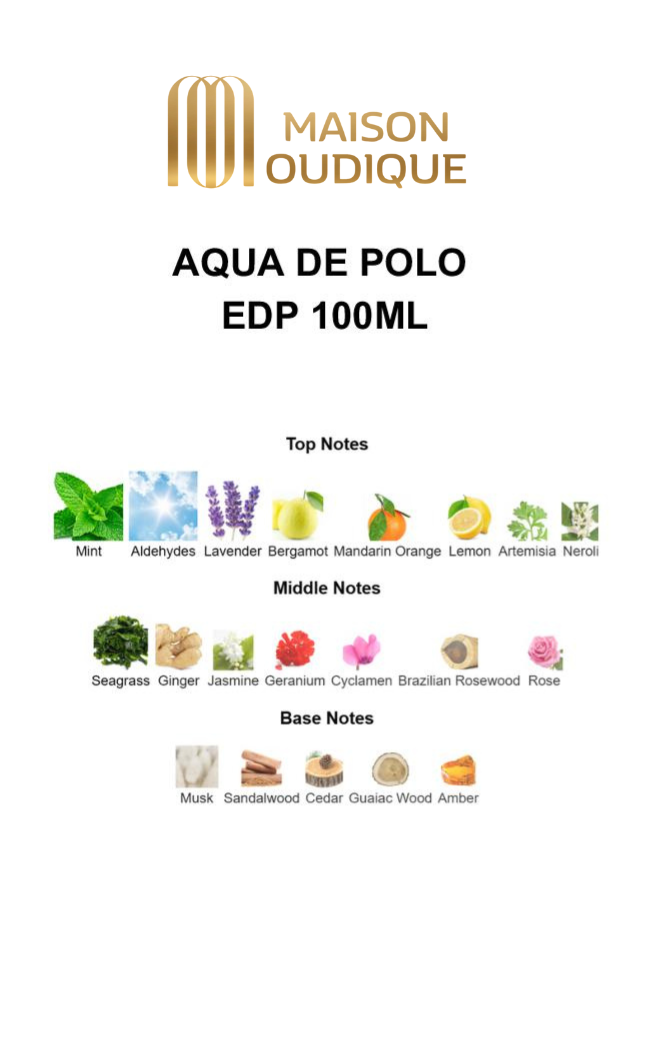 Aqua de Polo Perfume