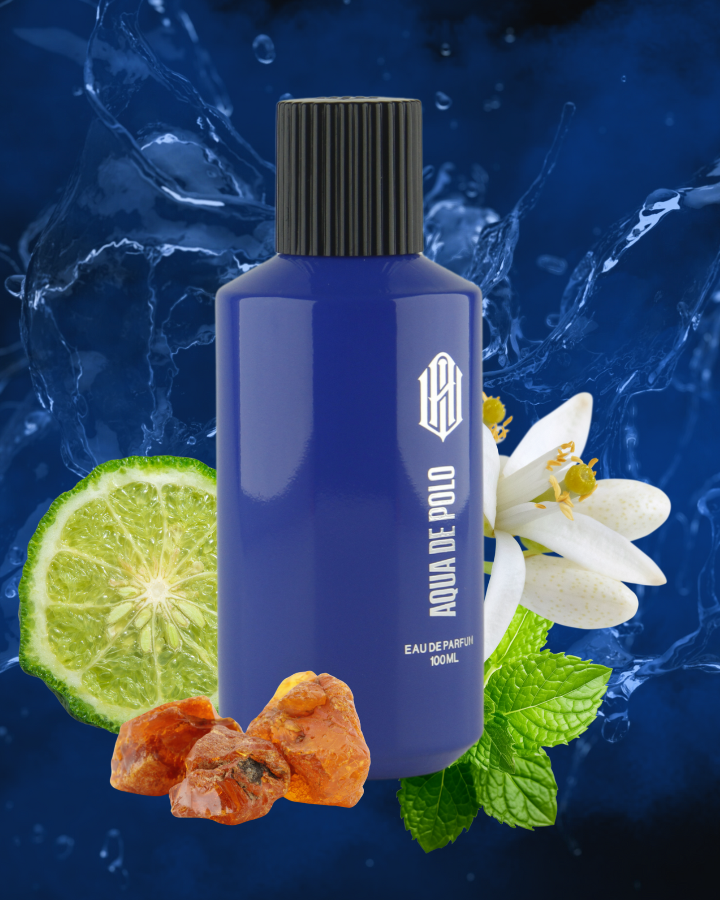 Aqua de Polo Perfume