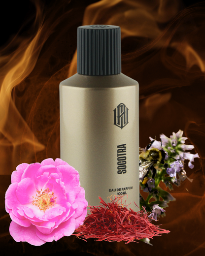 Socotra Perfume